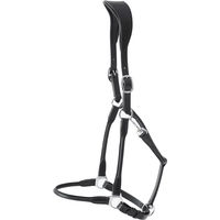 Produktbild von Premier Equine Anatomisches Lederhalfter Extra Full Hennaroso
