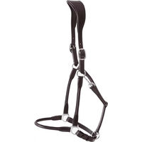 Produktbild von Premier Equine Anatomisches Lederhalfter für Pferde in Hennaroso