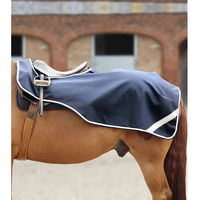 Produktbild von Premier Equine Arbeitsnierenabdeckung für Pferde aus Nylon in Blau Größe XL
