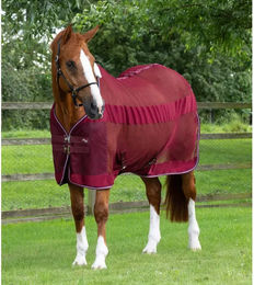 Produktbild von Premier Equine Arisca Scrim Kühlendes Pferdehemd Rot