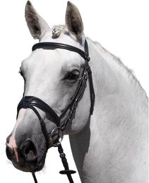 Produktbild von Premier Equine Artana Reittrense aus Leder für Vollblut in Schwarz