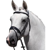 Produktbild von Premier Equine Artana Reittrense aus Leder für Vollblut in Schwarz