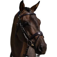Produktbild von Premier Equine Artana Reittrense aus Leder in Braun Größe XFull