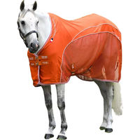Produktbild von Premier Equine Atlas Mesh Trocknende Pferdedecke aus Nylon in Orange