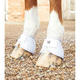 Premier Equine Ballistic Pferdeglocken in Weiß – Bild 1 von 4