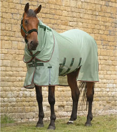 Produktbild von Premier Equine Bug Buster Fliegendecke für Pferde aus Netzstoff in Grün