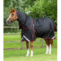 Produktbild von Premier Equine Buster 420g Classic Wasserdichte Outdoor-Pferdedecke mit Halsteil in Schwarz