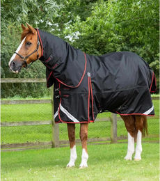 Produktbild von Premier Equine Buster 420g Classic Wasserdichte Outdoor-Pferdedecke mit Halsteil in Schwarz - 420 g