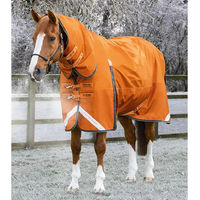 Produktbild von Premier Equine Buster Combo 400g Wasserdichte Outdoor-Pferdedecke mit Halsteil in Orange - 400 g