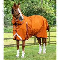 Produktbild von Premier Equine Buster Combo Wasserdichte Outdoor-Decke für Pferde in Orange