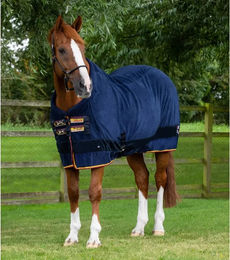 Premier Equine Buster Continental Trocknende Fleecedecke für Pferde Blau - 280 g – Bild 1 von 4