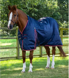 Premier Equine Buster Hardy Outdoor-Decke aus Nylon in Marine - 100 g – Bild 1 von 1