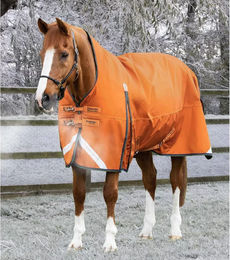 Produktbild von Premier Equine Buster Hardy Outdoor-Decke aus Nylon in Orange - 400 g
