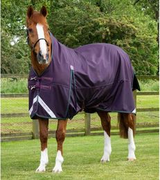 Produktbild von Premier Equine Buster Hardy Outdoor-Pferdedecke aus Nylon in Lila