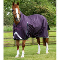 Produktbild von Premier Equine Buster Hardy Outdoor-Pferdedecke aus Nylon in Lila