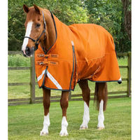 Produktbild von Premier Equine Buster Hardy Outdoor-Pferdedecke aus Nylon in Orange 152 cm