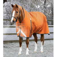 Produktbild von Premier Equine Buster Hardy Outdoor-Pferdedecke aus Nylon in Orange 160 cm
