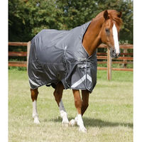 Produktbild von Premier Equine Buster Hardy Outdoor-Pferdedecke wasserdicht in Grau