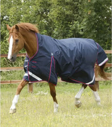 Premier Equine Buster Hardy Wasserdichte Outdoor-Decke für Pferde in Blau aus Nylon – Bild 1 von 5