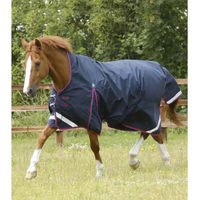 Produktbild von Premier Equine Buster Hardy Wasserdichte Outdoor-Decke für Pferde in Blau aus Nylon