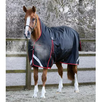 Produktbild von Premier Equine Buster Hardy wasserdichte Outdoor-Decke für Pferde in Schwarz