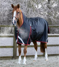 Premier Equine Buster Hardy wasserdichte Outdoor-Decke für Pferde in Schwarz aus Nylon - 400 g – Bild 1 von 2