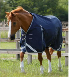Premier Equine Buster Original wasserdichte Outdoor-Decke für Pferde in Blau – Bild 1 von 5