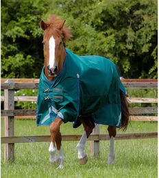 Premier Equine Buster Original wasserdichte Outdoor-Decke für Pferde in Grün – Bild 1 von 5