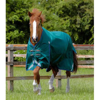 Produktbild von Premier Equine Buster Original wasserdichte Outdoor-Decke für Pferde in Grün