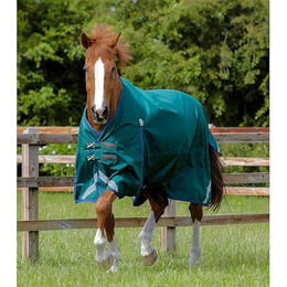 Premier Equine Buster Original wasserdichte Outdoor-Decke für Pferde in Grün – Bild 1 von 4