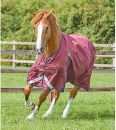 Produktbild von Premier Equine Buster Original Wasserdichte Outdoor-Pferdedecke aus Nylon in Rot