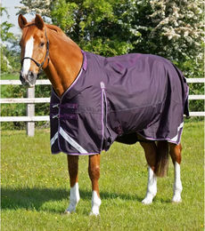 Premier Equine Buster Outdoor-Decke für Pferde mit Halsteil aus Nylon in Lila – Bild 1 von 6