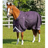 Produktbild von Premier Equine Buster Outdoor-Decke für Pferde mit Halsteil aus Nylon in Lila