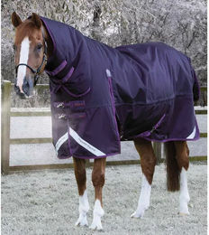 Premier Equine Buster Storm Classic wasserdichte Outdoor-Decke für Pferde mit Halsteil in Lila - 420 g – Bild 1 von 6