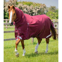 Produktbild von Premier Equine Buster Storm Classic Wasserdichte Outdoor-Pferdedecke in Rot mit Edelstahl-Elementen - 90 g