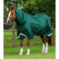 Produktbild von Premier Equine Buster Storm Classic Wasserdichte Outdoor-Pferdedecke mit Halsteil in Grün - 220 g