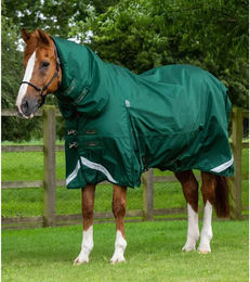 Premier Equine Buster Storm Classic Wasserdichte Outdoor-Pferdedecke mit Halsteil in Grün - 220 g – Bild 1 von 5