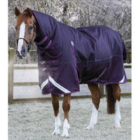Produktbild von Premier Equine Buster Storm Classic Wasserdichte Outdoor-Pferdedecke mit Halsteil in Lila - 420 g