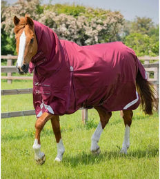 Premier Equine Buster Storm Classic wasserdichte Outdoor-Pferdedecke mit Halsteil in Rot – Bild 1 von 6