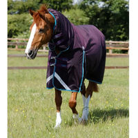 Produktbild von Premier Equine Buster Storm Wasserdichte Outdoor-Decke für Pferde in Lila