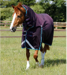 Premier Equine Buster Storm Wasserdichte Outdoor-Decke für Pferde mit Halsteil in Lila - 100 g – Bild 1 von 5