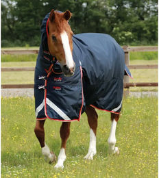 Produktbild von Premier Equine Buster Storm Wasserdichte Outdoor-Pferdedecke mit Halsteil in Blau