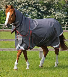 Produktbild von Premier Equine Buster Wasserdichte Outdoor-Decke für Pferde in Grau