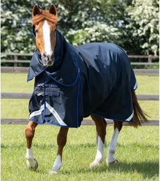 Produktbild von Premier Equine Buster Wasserdichte Outdoor-Decke mit Halsteil aus Nylon in Blau