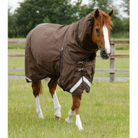 Produktbild von Premier Equine Buster Wasserdichte Outdoor-Pferdedecke mit Halsteil aus Nylon in Braun