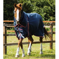 Produktbild von Premier Equine Buster Wasserdichte Outdoor-Pferdedecke mit Halsteil in Blau