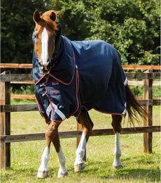 Premier Equine Buster Wasserdichte Outdoor-Pferdedecke mit Halsteil in Blau aus Nylon - 50 g – Bild 1 von 6