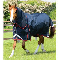 Produktbild von Premier Equine Buster Wasserdichte Outdoor-Pferdedecke mit Halsteil in Blau oder Schwarz - 250 g