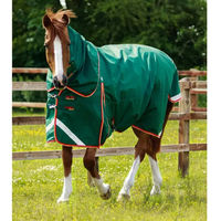 Produktbild von Premier Equine Buster Wasserdichte Outdoor-Pferdedecke mit Halsteil in Grün aus Nylon