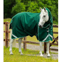 Produktbild von Premier Equine Buster Wasserdichte Outdoor-Pferdedecke mit Halsteil in Grün